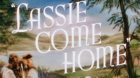 lassie come home film 1943 moviemeter nl