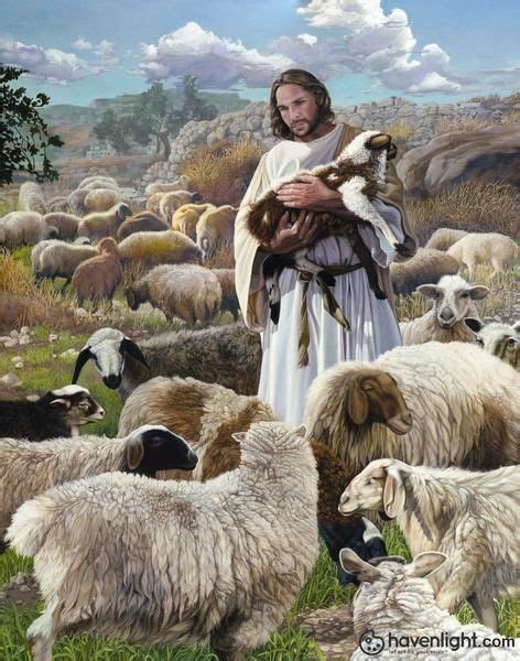 Finding The One Is A Painting That Depicts Jesus Holding Lambs And