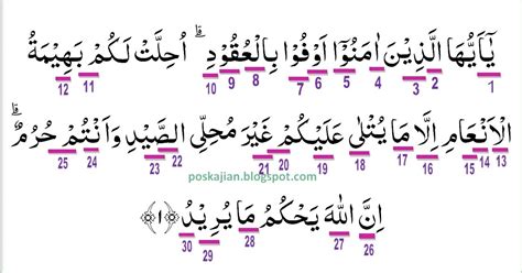 Hukum Tajwid Al-Quran Surat Al-Maidah Ayat 1 Lengkap ...