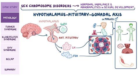 Disorders Of Sex Chromosomes Pathology Review Video Osmosis