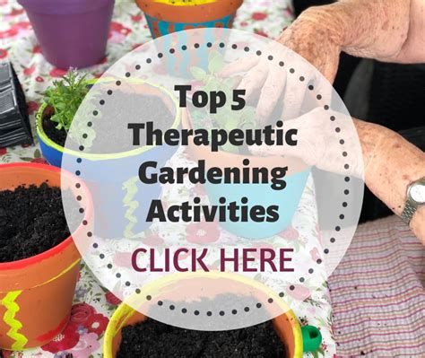 Top 5 Therapeutic Gardening Activities From 2018 Soil To Supper