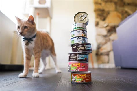 The top 11 best cat foods. The Best Cat Food of 2020 - Your Best Digs