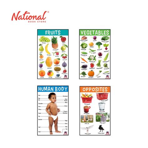 Primary Charts Jumbo Charts Set Of 4 Learning Aids For Kids