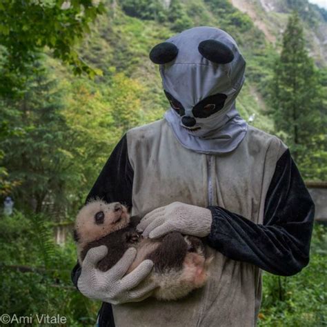 Famous Photographer Dresses Up As A Panda And Her Pictures Will Surely