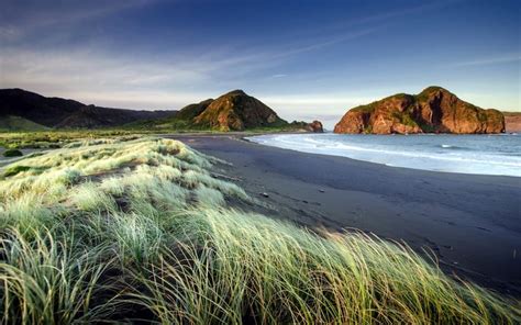 Auckland Nz New Zealand Landscape Beach Images Hd