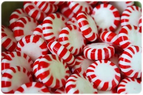 Peppermint Candy Peppermint Candy Flavored Oils Peppermint