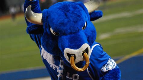 Buffalo Bulls Football How To Watchlistenfollow Bull Run