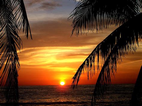 Mexican Sunset Sayulita Nayarit Photograph By David Galleher Pixels
