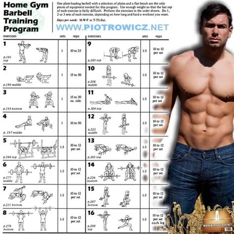To start, we'll be taking a look at a beginner workout routine. Home Gym Barbell Training Program - Full Body Workout Plan ...