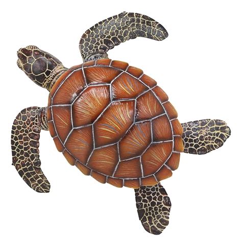 Get facts about the loggerhead sea turtle (caretta caretta). Ebros Nautical Coastal Marine Swimming Brown Sea Turtle ...