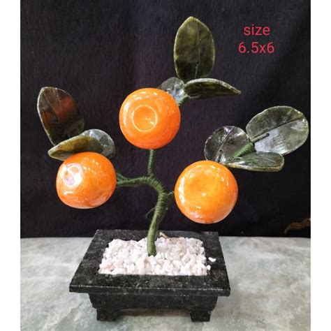 Kiat Kiat Orange Tree 3 Fruits Shopee Philippines