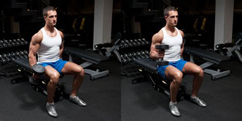One Arm Seated Dumbbell Hammer Curl Weight Training Exercises 4 You