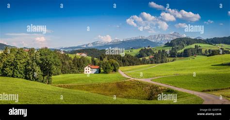 Idyllic Landscape In The Alps With Green Meadows And Famous Saentis