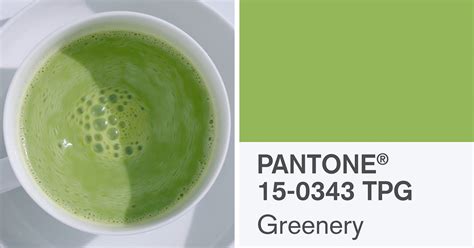 2017 Color Of The Year Is Greenery According To Pantone Demilked