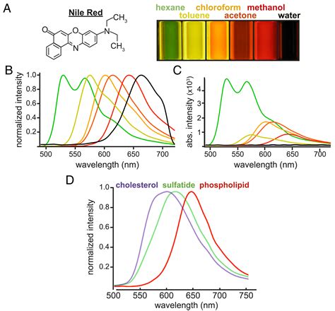 Nile Red Fluorescence Spectroscopy Reports Early Physicochemical