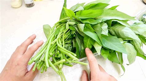 It is known in english as water spinach, water morning glory, water convolvulus, or by the more ambiguous names chinese spinach and swamp cabbage. Thai Stir-Fried Morning Glory | Pad Pak Boong - FutureDish