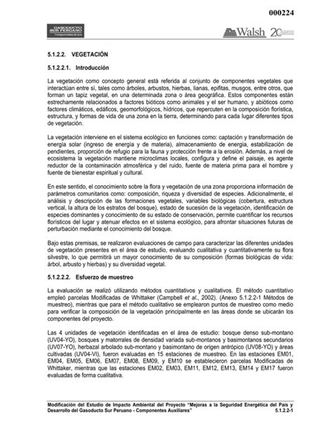 Factores Clim 225 Ticos Que Interviene En El Ecuador Coggle Diagram