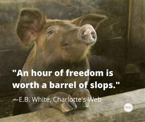 10 Terrific Quotes From Charlottes Web By Eb White Writers Digest