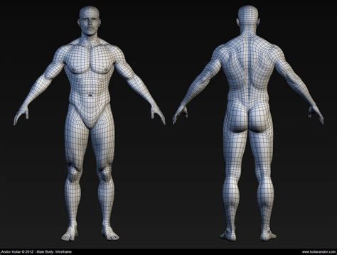 topology reference guide intro to 3d 60125 zbrush character 3d model character character