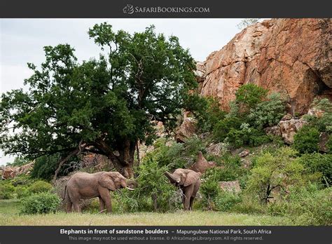 Mapungubwe National Park Travel Guide Map And More