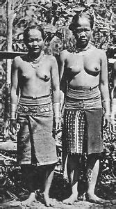 Borneo Photo Postcard Nude Dayak Women Malaysia S Ebay