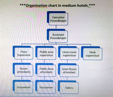 Hierarchy Of Housekeeping In Small Medium Large And Chain Hotels IHMNOTESSITE