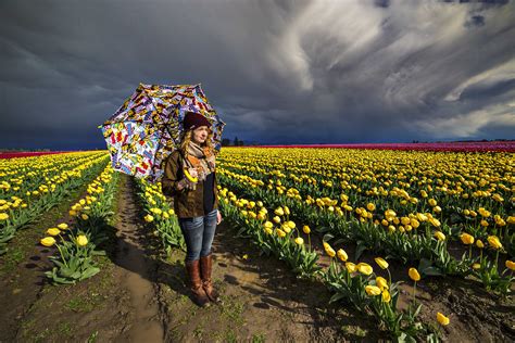 Skagit Valley Tulip Photo Tours