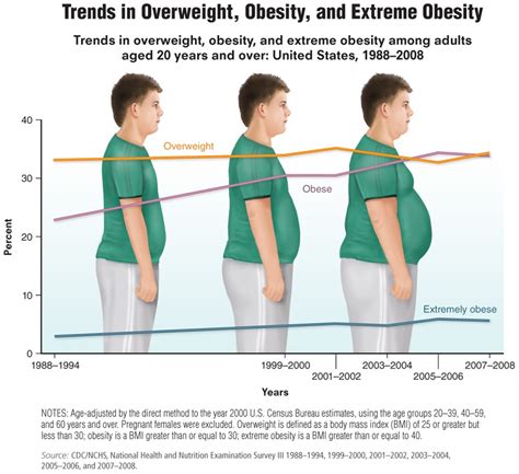 Overweight Obesity Extreme Obesity Illustration By Lightbox Visual