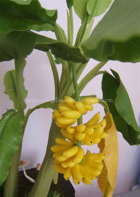 Produces excellent dessert type fruit. Banana tree - Clay Flower Art
