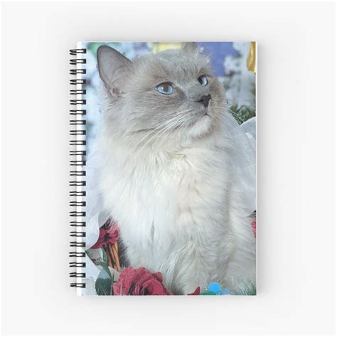 Ragdoll Cat Spiral Notebook By Fluffycat2020 Ragdoll Cat Ragdoll Cats