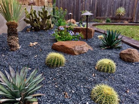 My New Xeriscaping With Cactus And Succulents