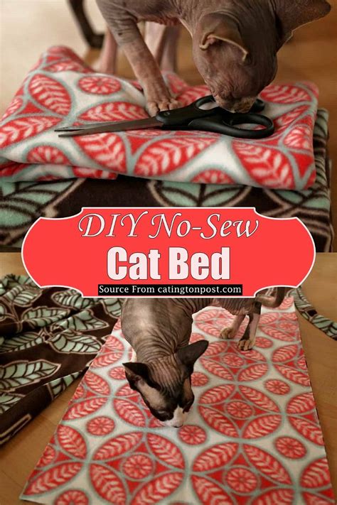 24 Diy Cat Bed Ideas With Pictures Mint Design Blog