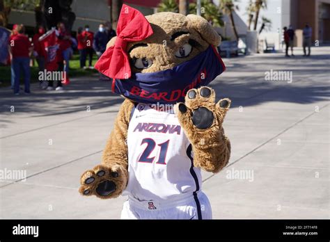 College Mascots Hi Res Stock Photography And Images Alamy