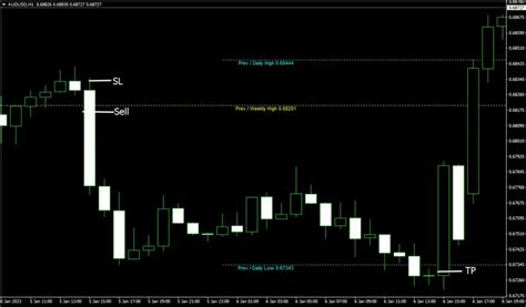 The Daily High Low Indicator Trend Following System