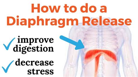 How To Release Your Tight Diaphragm To Improve Digestion And Decrease