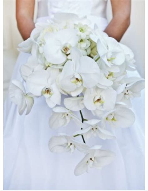 Bridal Bouquet Wedding Themes Winter White Bridal Bouquet White