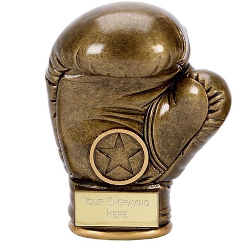 Details About Premier 3d Boxing Glove Solid Trophy Martial Arts Award
