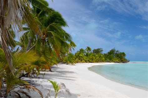 Premium Photo Desert Beach On A Remote Island Aitutaki Atoll Cook