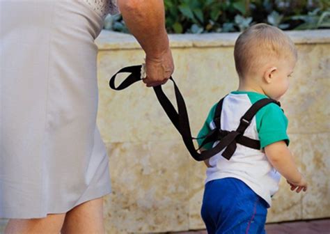 Baby Toddler Strap - حزام آمان الأطفال | Toddler, Kids toys, Baby toddler