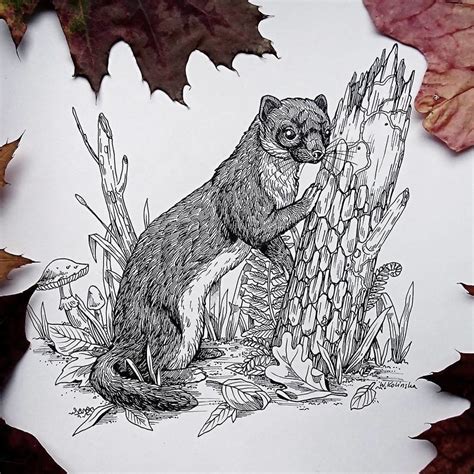 30 Intricate Drawings Of Animals Created By Me Animal Drawings