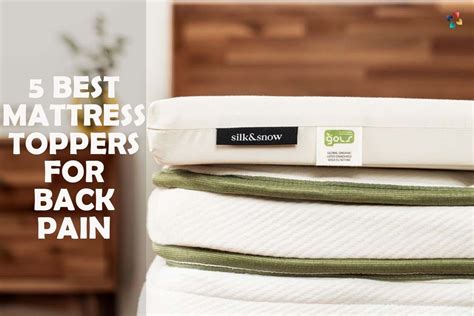 5 Best Mattress Toppers For Back Pain By Thelifesciencemagazine Medium