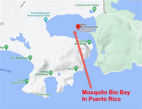 Bioluminescent Bays Puerto Rico 2023 All You Need To Know