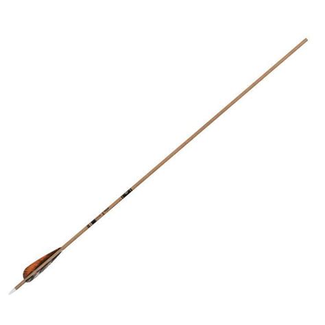 Gold Tip Traditional Carbon Arrows Sportsmans Warehouse