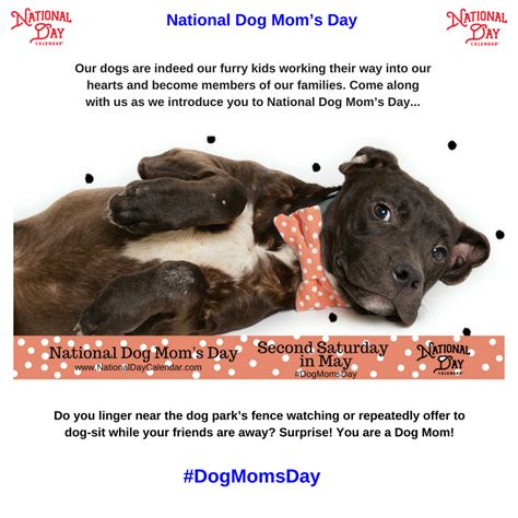 National Dog Moms Day Second Saturday In May Mom Day Dog Mom Dogs