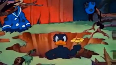 Donald Duck Cartoons Timber Youtube