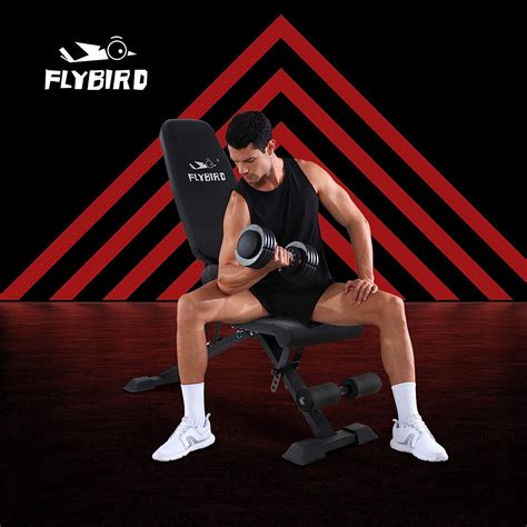 Buy FLYBIRD Adjustable Weight Bench Foldable Workout Benches For Home Gym Sturdy Durable