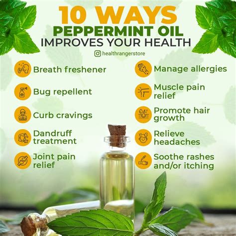 10 Ways Peppermint Oil Improves Your Health Essential Oil Gift Set