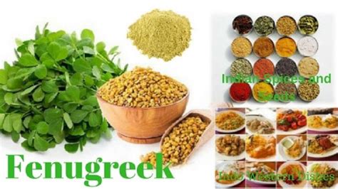Top 5 Uses Of Fenugreek Powder For Hair And Beauty Care