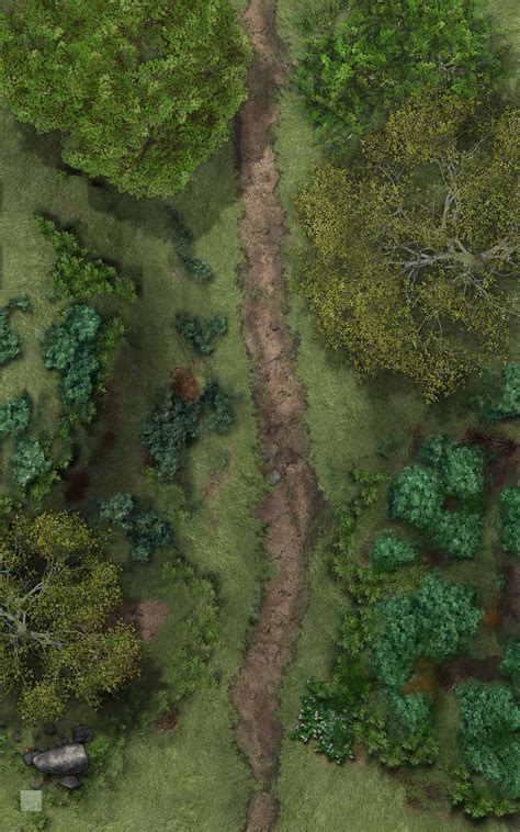 Attachmentphp 1250×2000 Terrain Map Forest Map Dungeon Maps