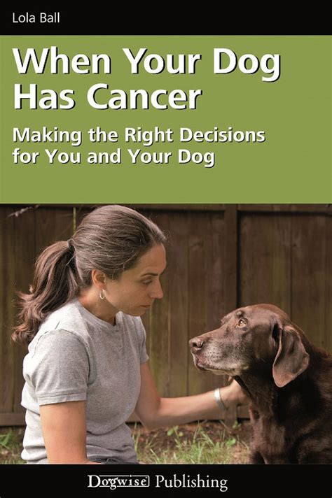 How Do I Know If My Dog Has Cancer